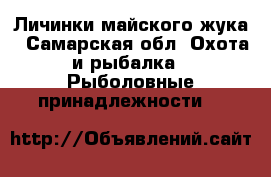 Личинки майского жука - Самарская обл. Охота и рыбалка » Рыболовные принадлежности   